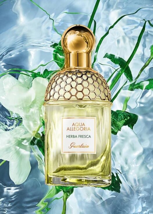 Туалетная вода guerlain aqua allegoria herba fresca. оригинал — цена 700 грн в каталоге Туалетная вода ✓ Купить товары для красоты и здоровья по доступной цене на Шафе | Украина #51715520